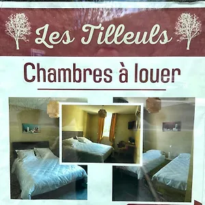 https://les-tilleuls-souillac.midi-pyreneeshotels.com